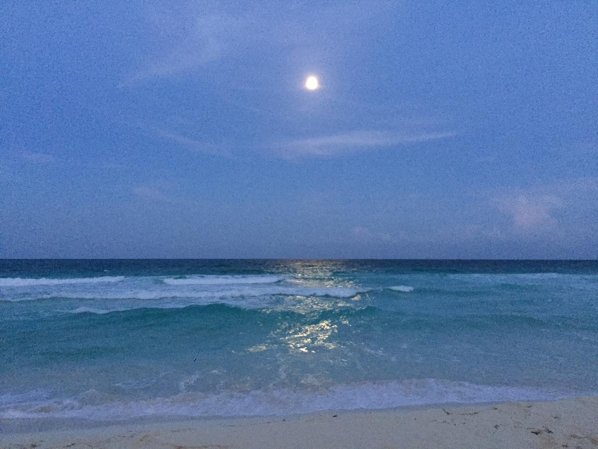 Ocean View Apartment แคนคูน ภายนอก รูปภาพ